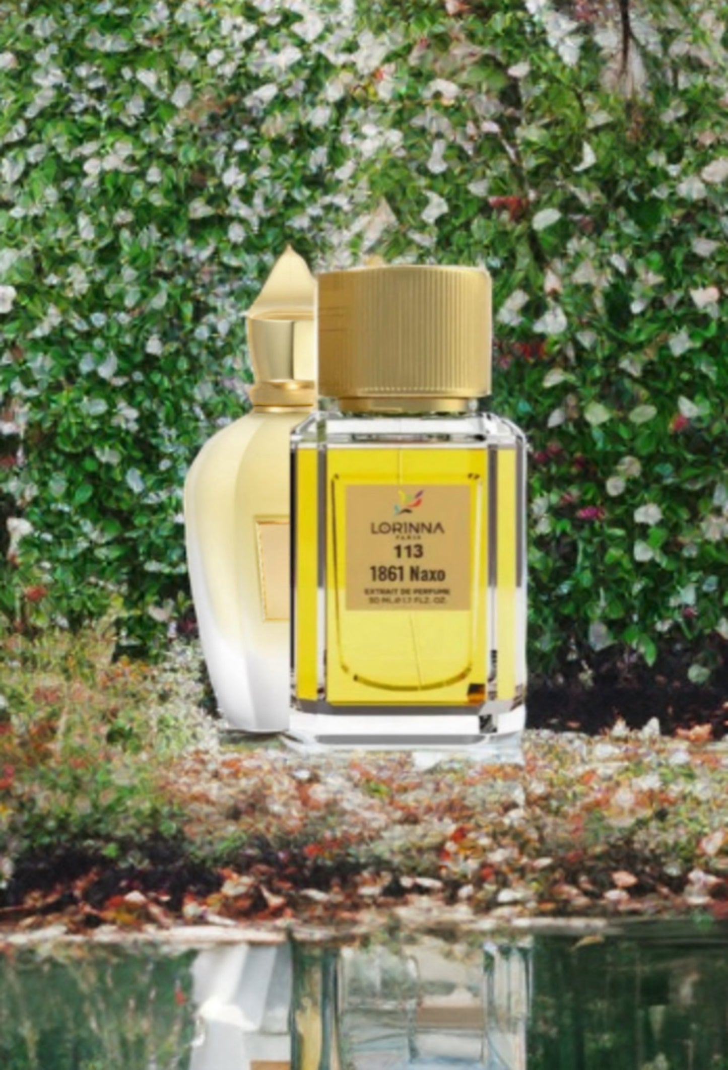 Lorinna NAXO 50 ML Extract de Parfum MEN